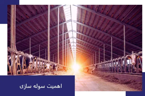 اهمیت ساخت سوله در میاندوآب