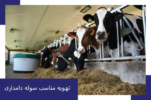 تهویه مناسب سوله دامداری
