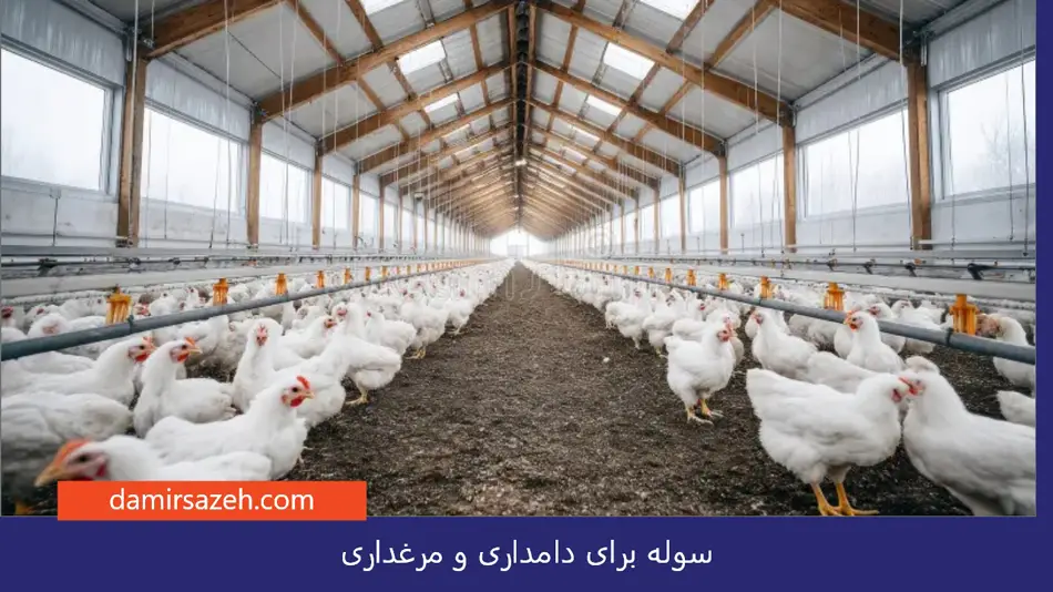 سوله برای دامداری و مرغداری