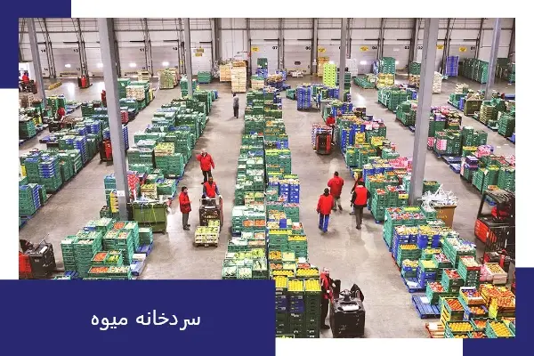 نقش سردخانه میوه